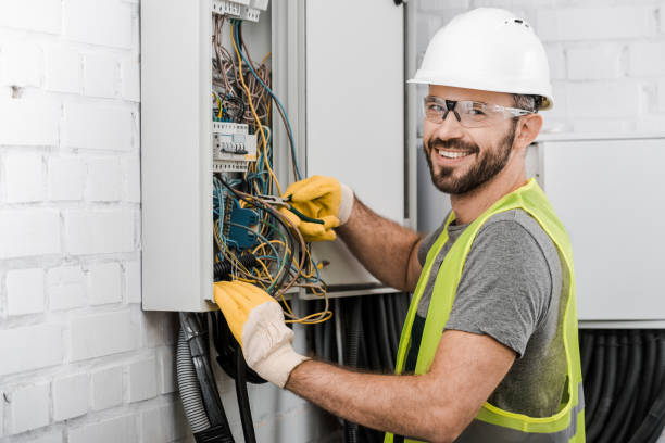 Best Ceiling Fan Installation Electrician  in Borden, IN